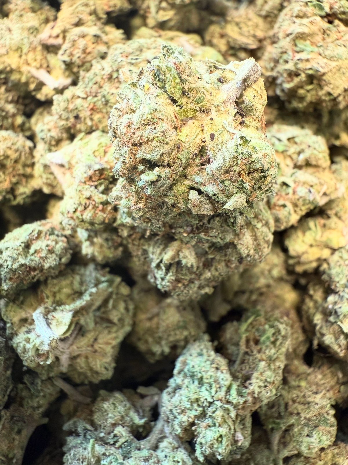 thca lemon cherry zlushie